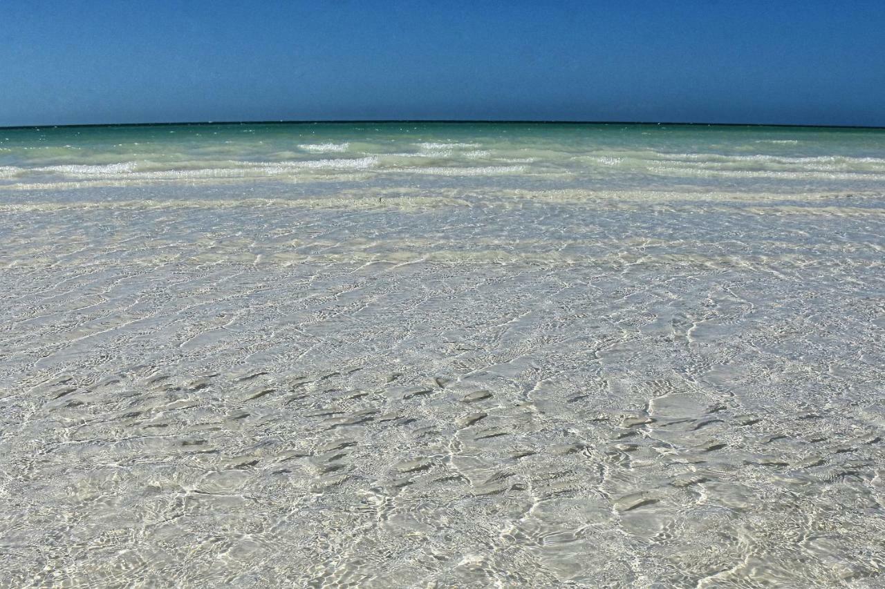 Moon Dreams Yum Balam Hotel Isla Holbox ภายนอก รูปภาพ