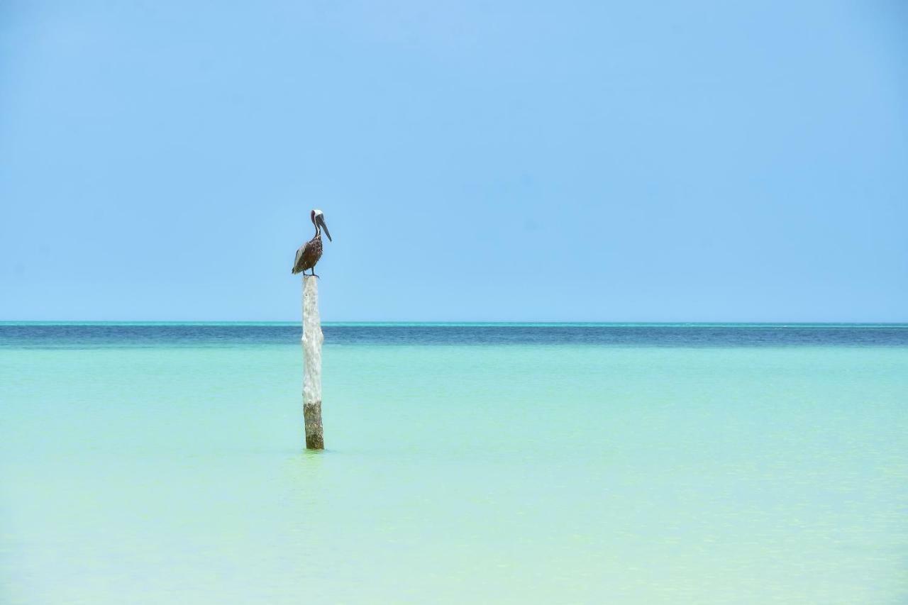 Moon Dreams Yum Balam Hotel Isla Holbox ภายนอก รูปภาพ